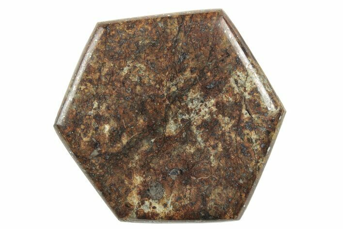 Stony Chondrite Cabochon ( g) - Meteorite #238184